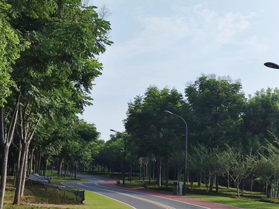 Yiwu Botanical Garden-义乌市必去景点