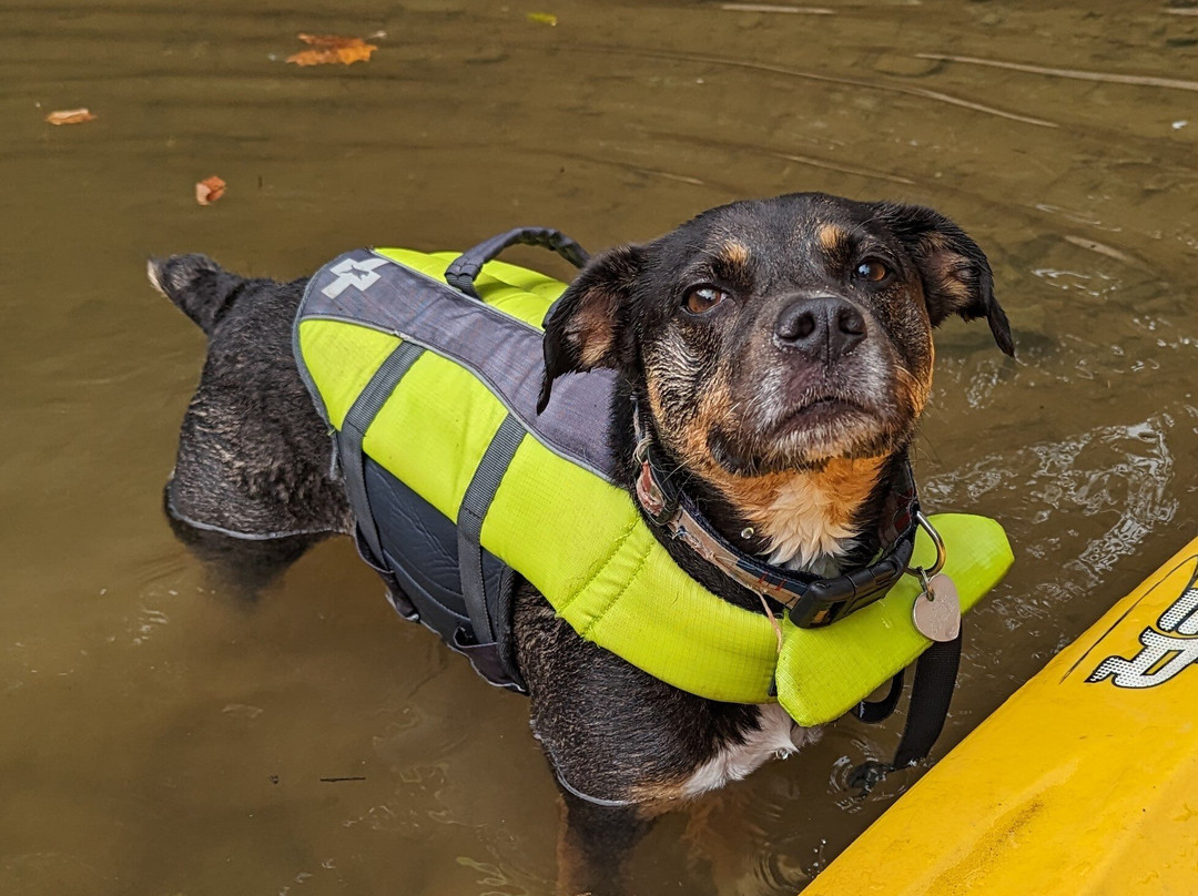 The River Rat's Canoe Rental-哥伦比亚必去景点