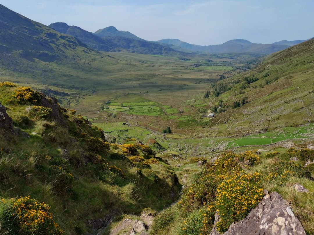 Celtic Nature Walking Tours-丁格尔必去景点