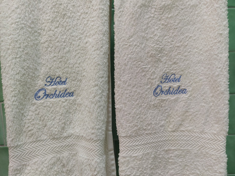 Orchidea 酒店主图