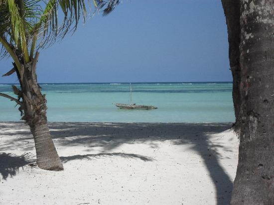 Zanzibar Butterfly Centre-桑给巴尔岛必去景点