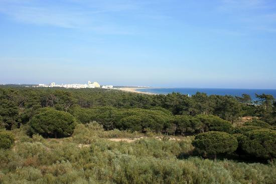 Praia Verde景点图片
