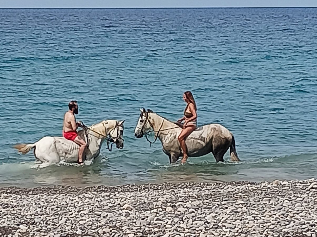 Sicily Horse Tours-Pollina必去景点