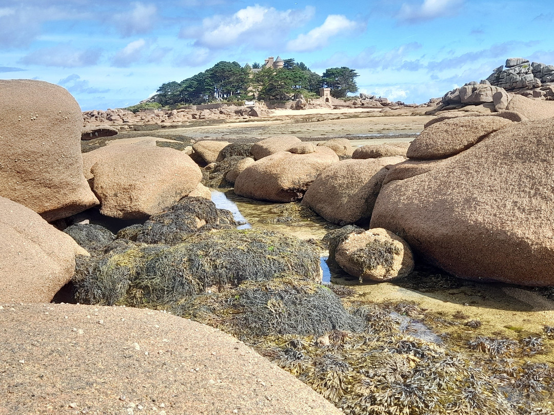 Plage de Tourony景点图片