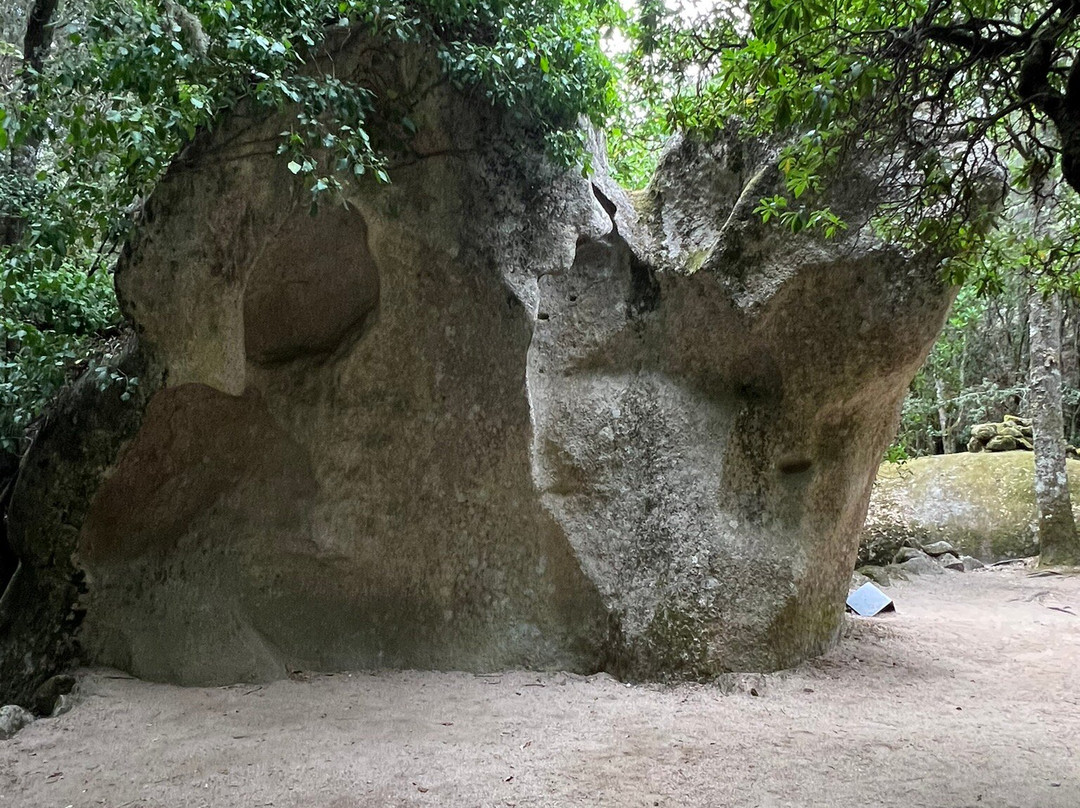 Site archéologique de Cucuruzzu景点图片