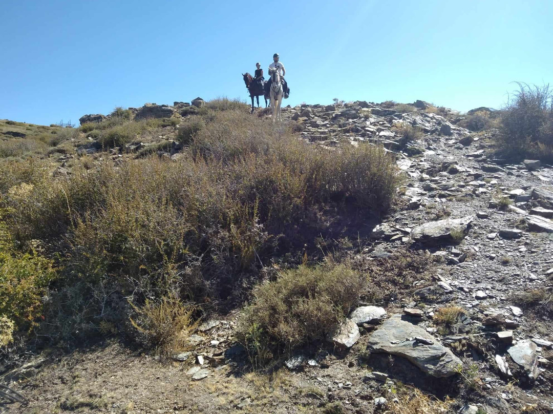 Las Encinillas Rutas a Caballo景点图片