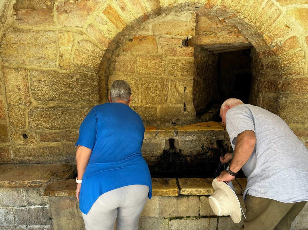 Biblical Treasure Tours with Michael Oestermann-特拉维夫必去景点