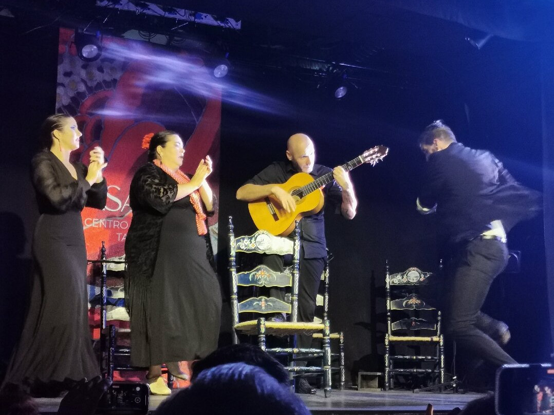 Tablao Flamenco Casa Ana Granada景点图片