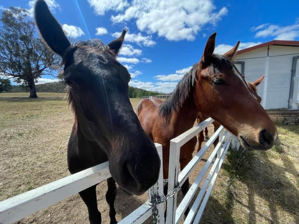 Gooree Park-马奇必去景点