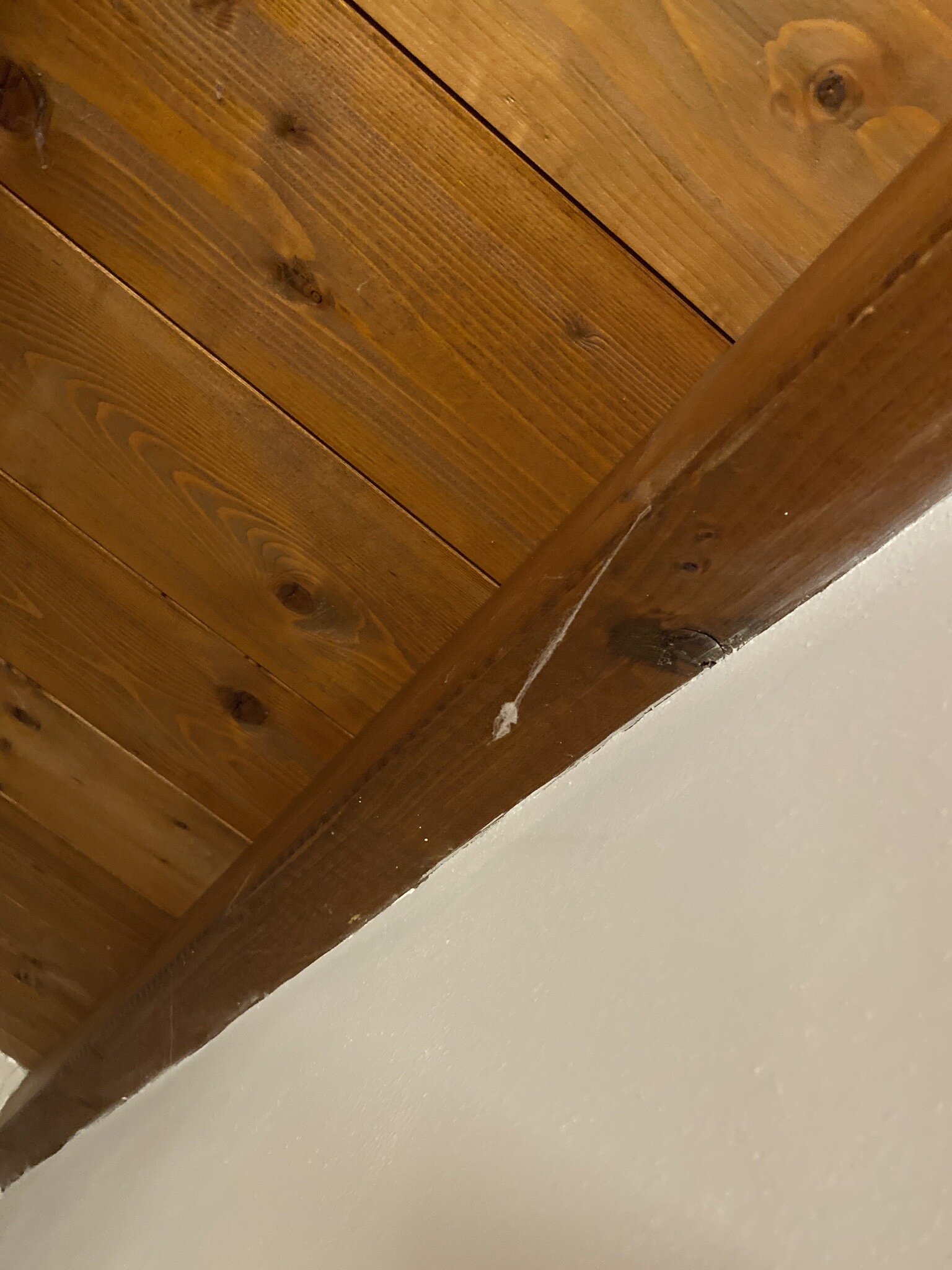 曼坦那酒店-官方