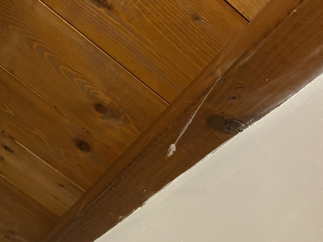 曼坦那酒店主图