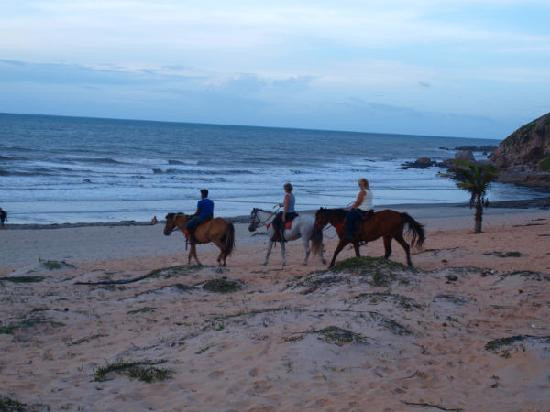 Jericoacoara Stables-杰里科科拉必去景点