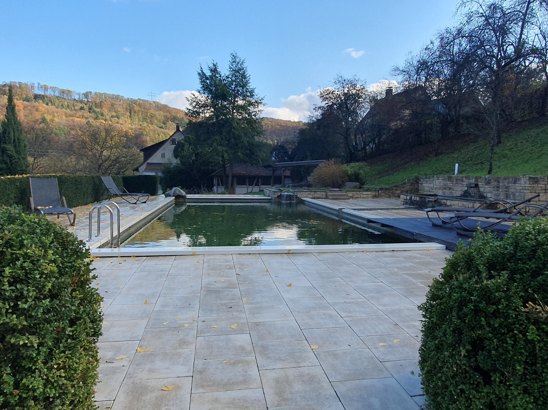 Hotel Schloss Döttingen主图