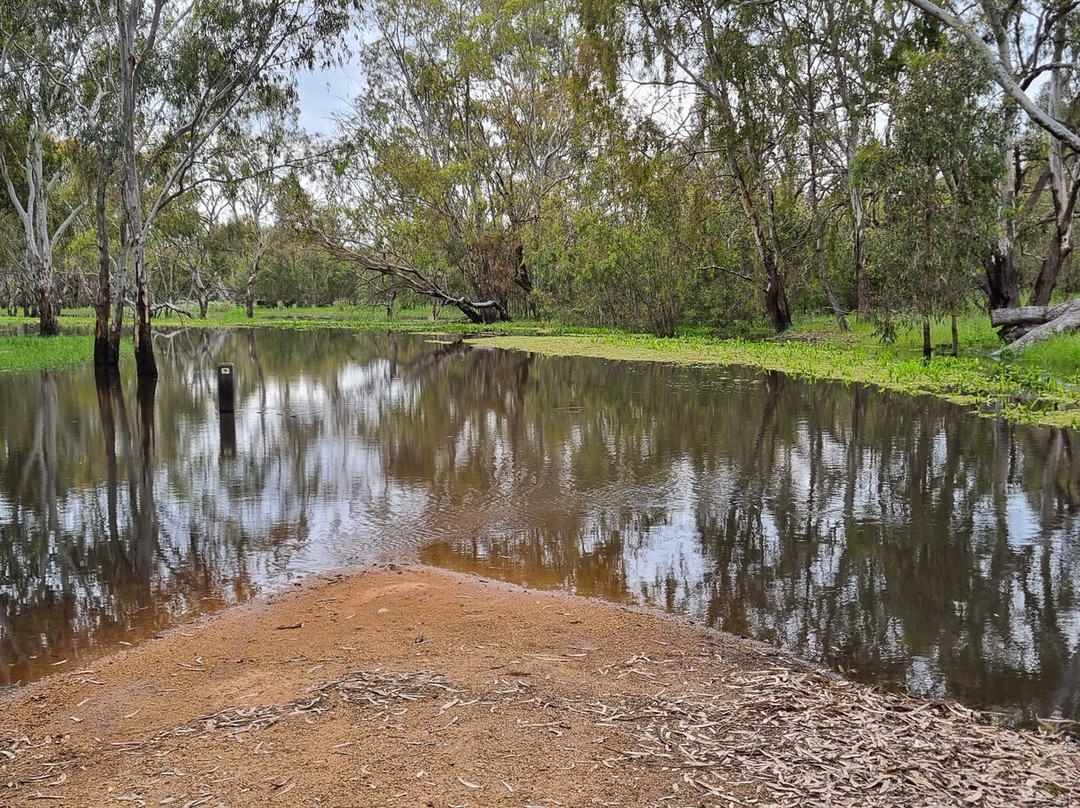 Kinnairds Wetland-Numurkah必去景点