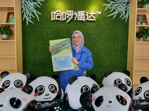 China Discovery Panda Volunteer-成都必去景点