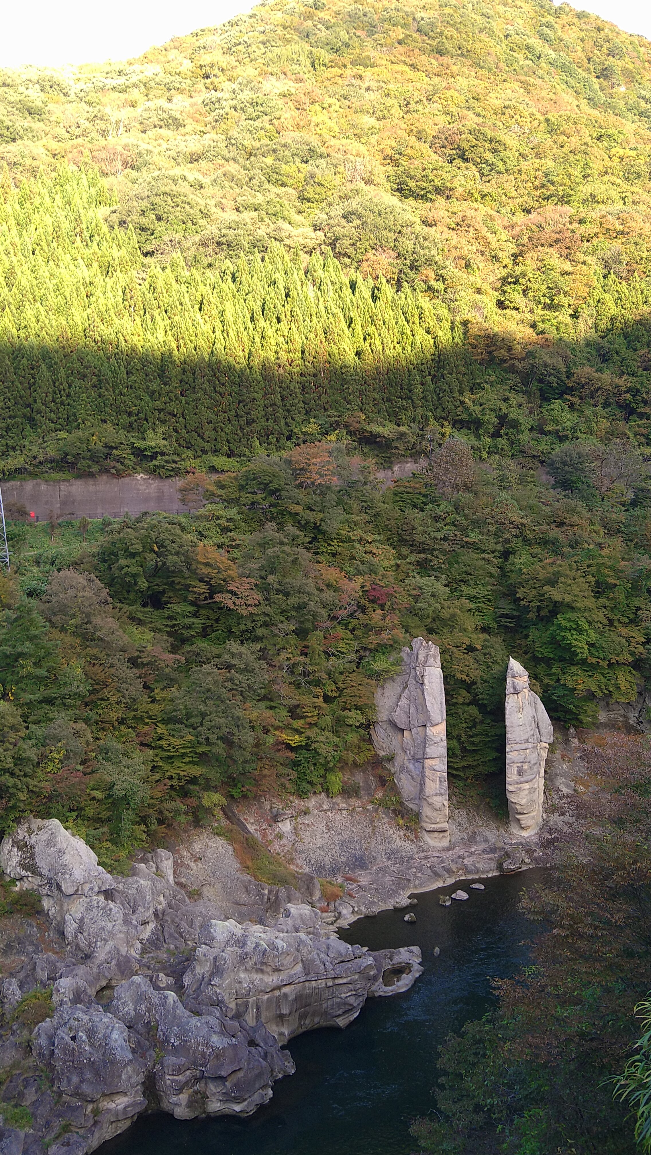 Fujinoyu Ebisuya-浴室