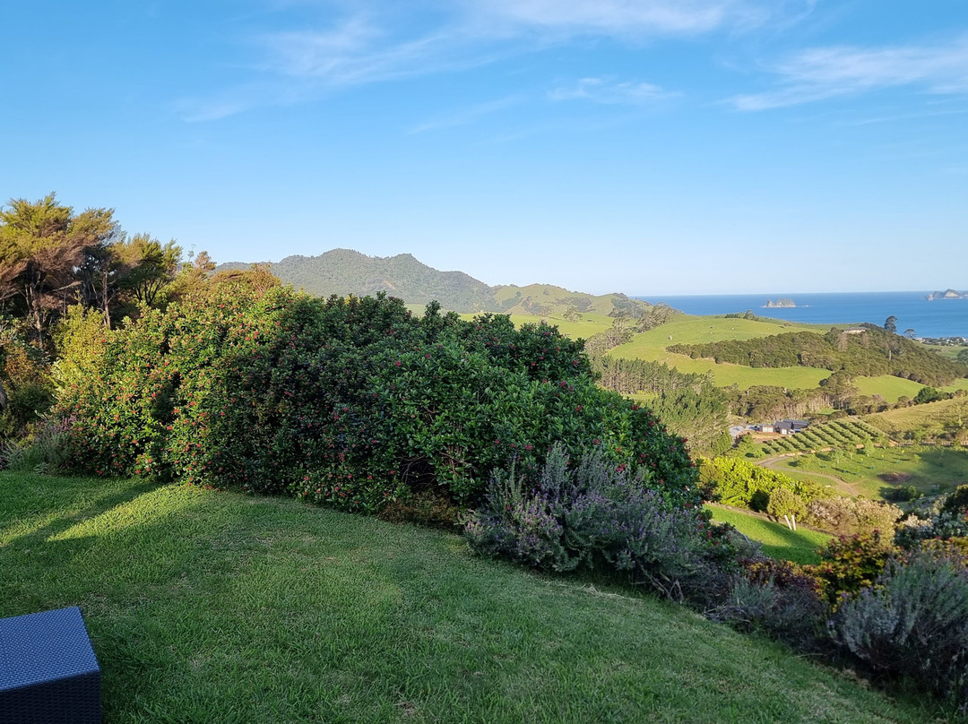 Bayview Valley Lodge主图