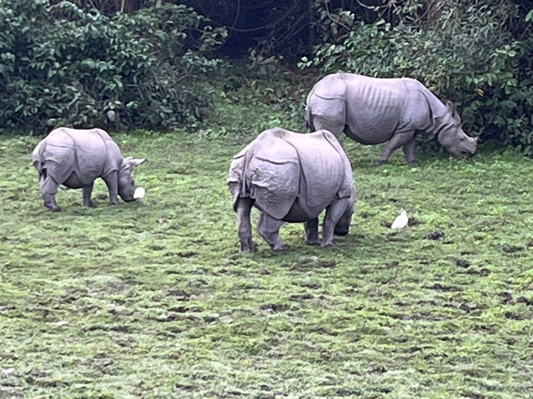 Kaziranga Adventures景点图片
