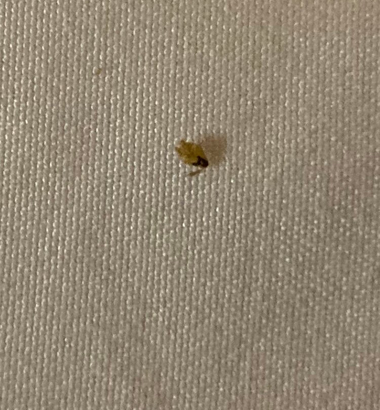 Quality Inn White Springs Suwanee主图