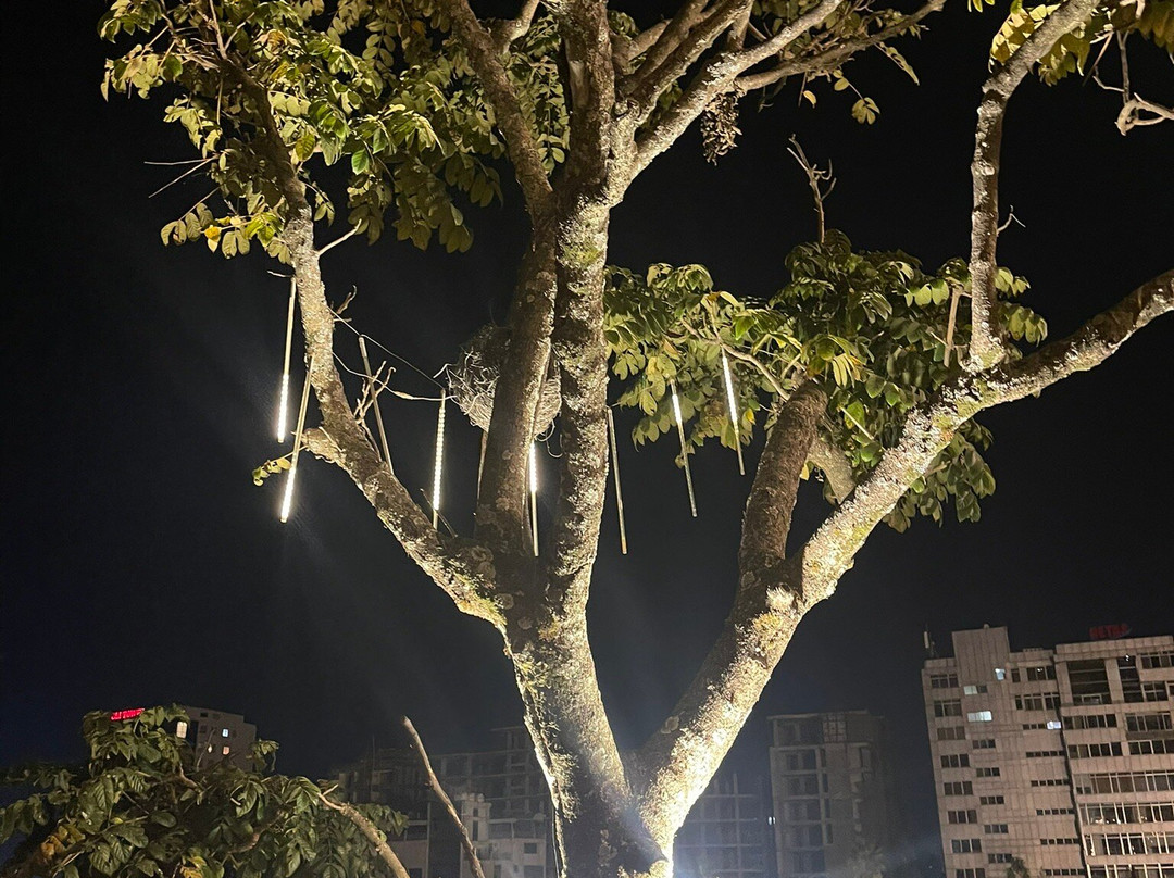 Friendship park 2景点图片