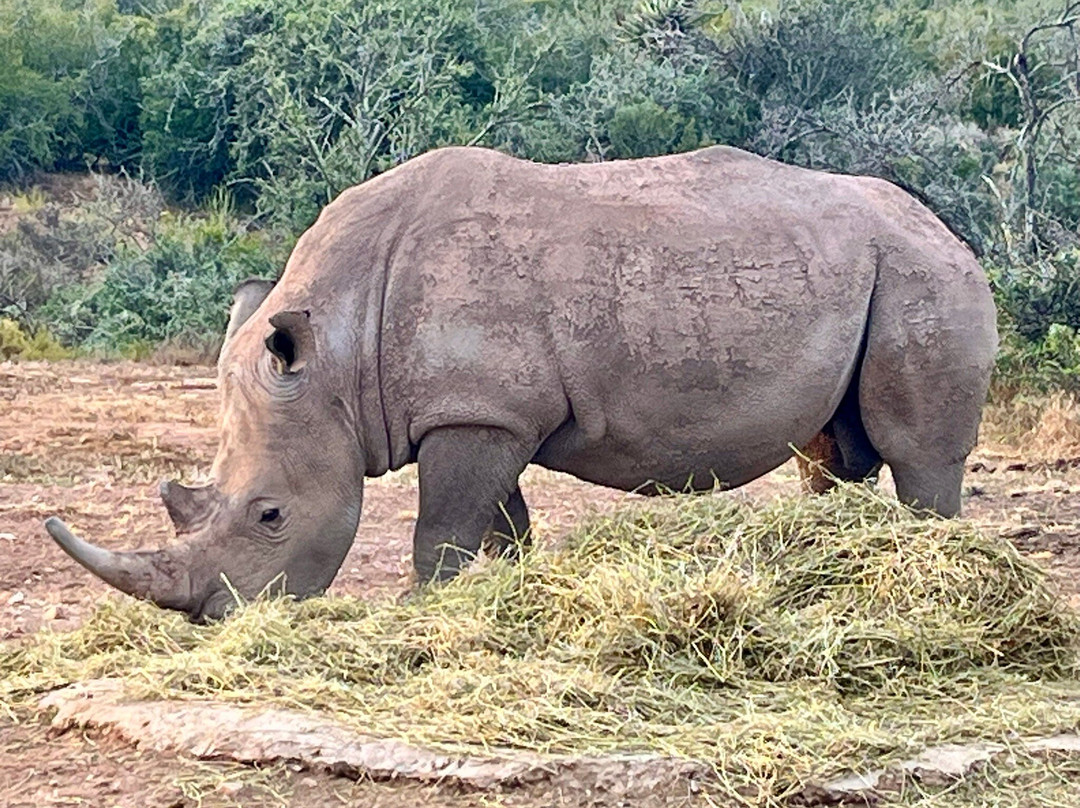 R62 Adventure Tours-蒙提古必去景点