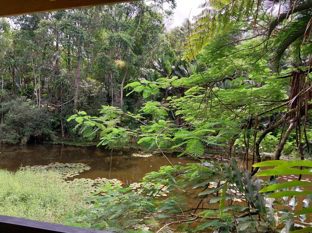 Rainforest Eco Lodge主图