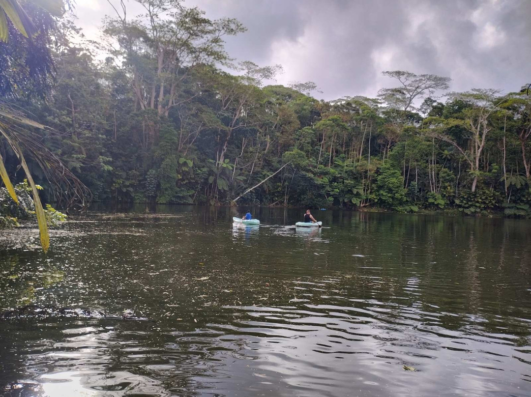 Rainforest Eco Lodge主图