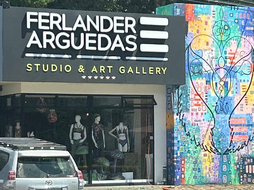 Ferlander Arguedas Studio & Art Gallery景点图片