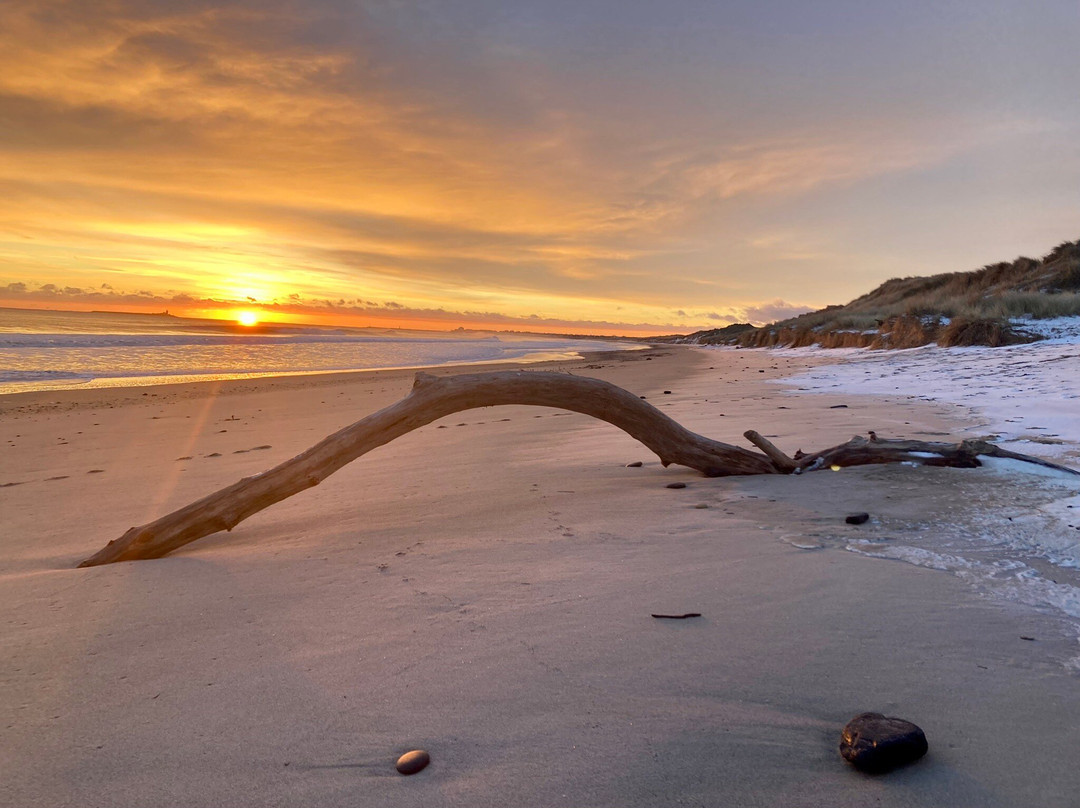Warkworth Beach-Warkworth必去景点