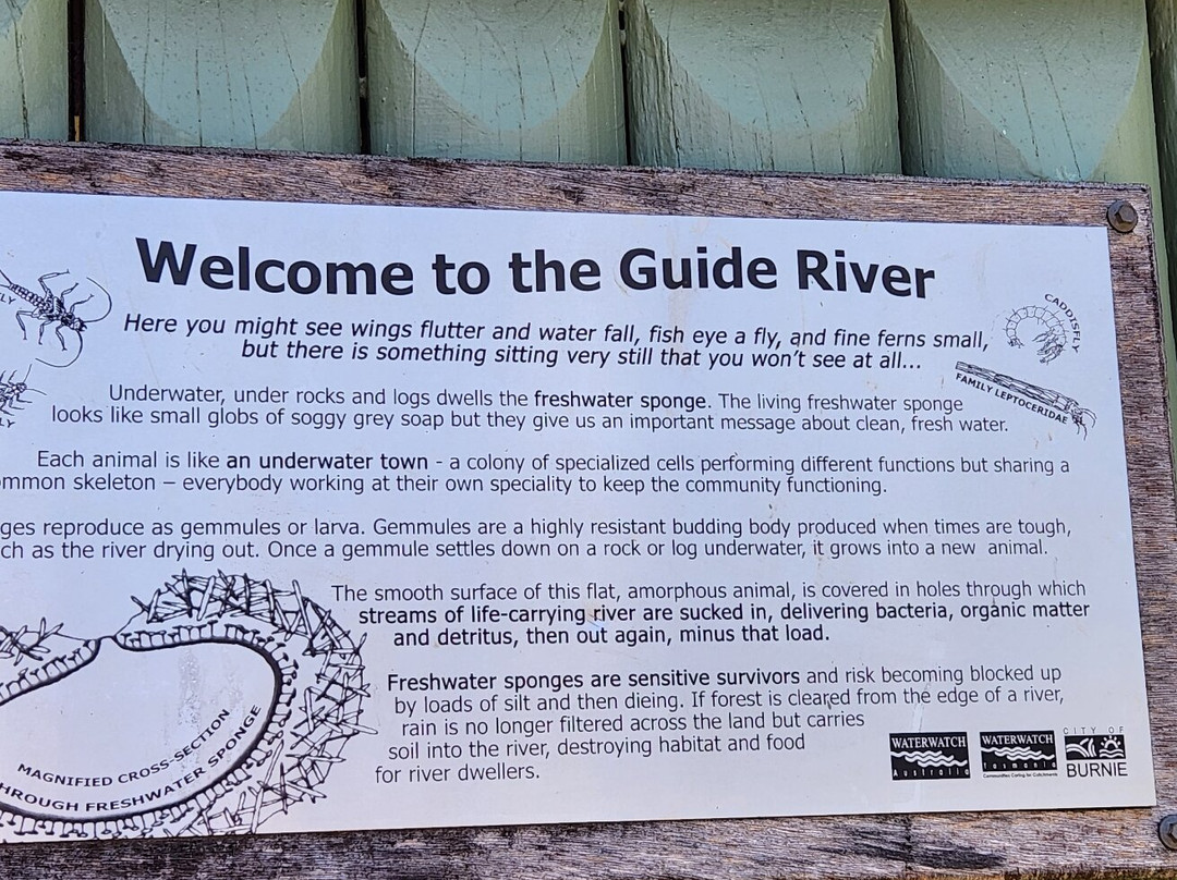 Guide Falls Reserve-伯尼必去景点