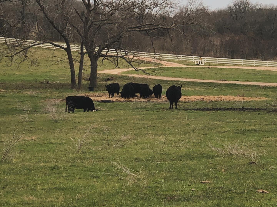 Lillian Farms Country Estate主图