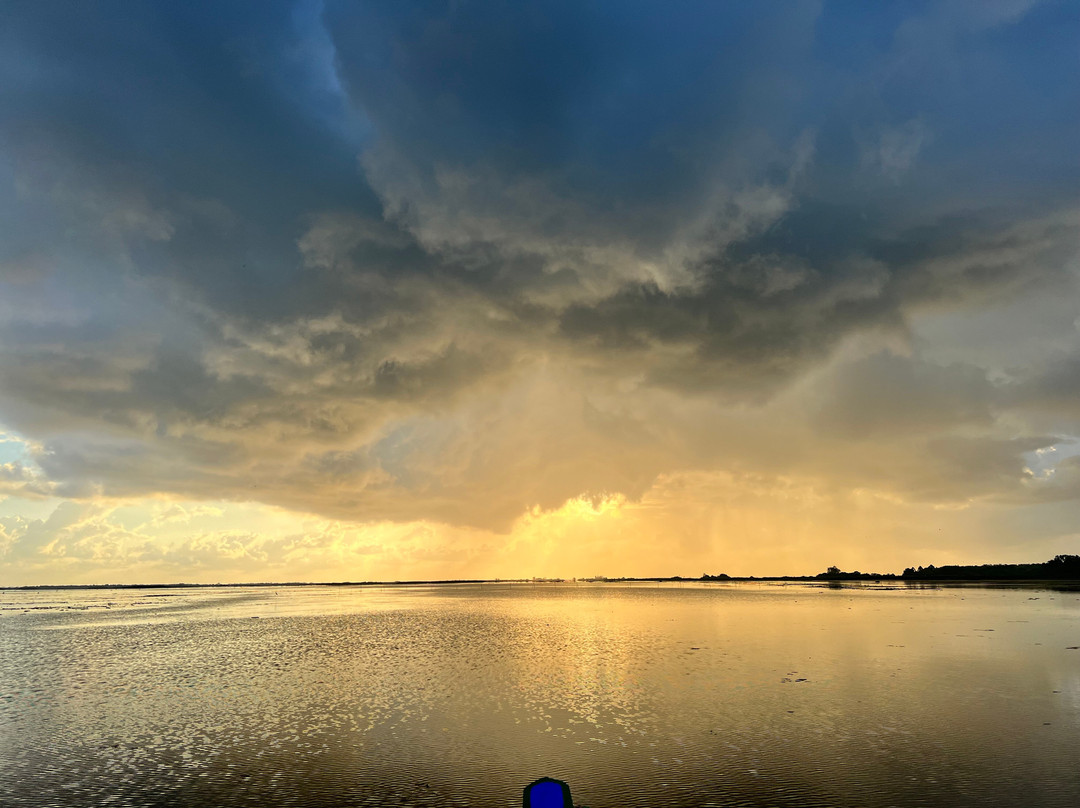 Thale Noi Waterbird Park景点图片