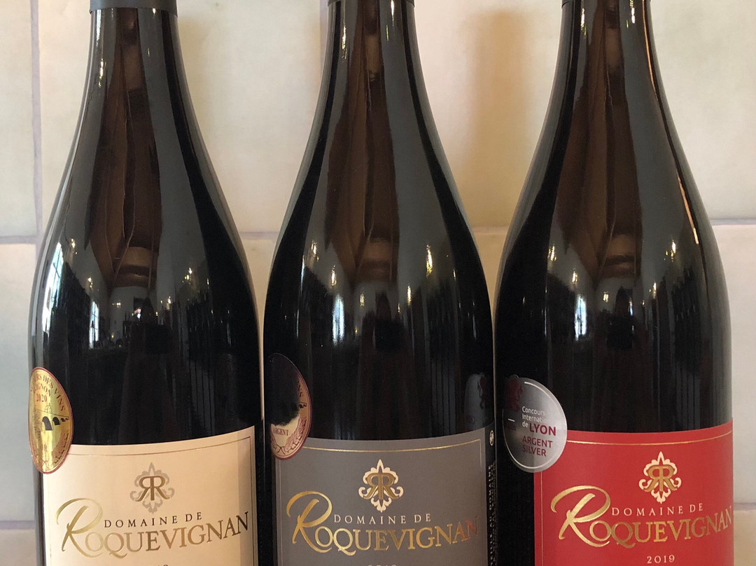 Domaine De Roquevignan景点图片