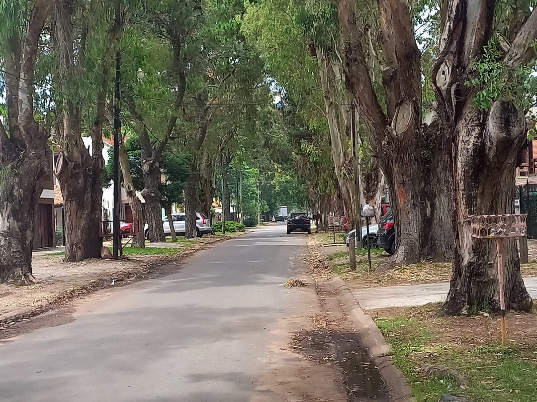 Templo San Bernardo景点图片