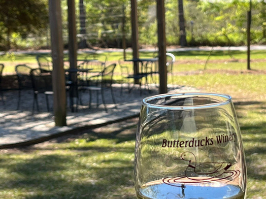 Butterducks Winery-Guyton必去景点