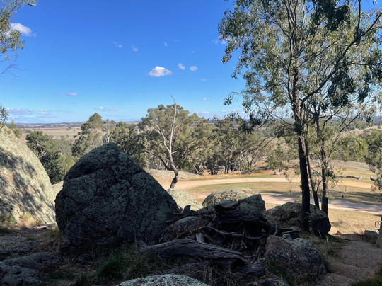 Morgan's Lookout-Walla Walla必去景点