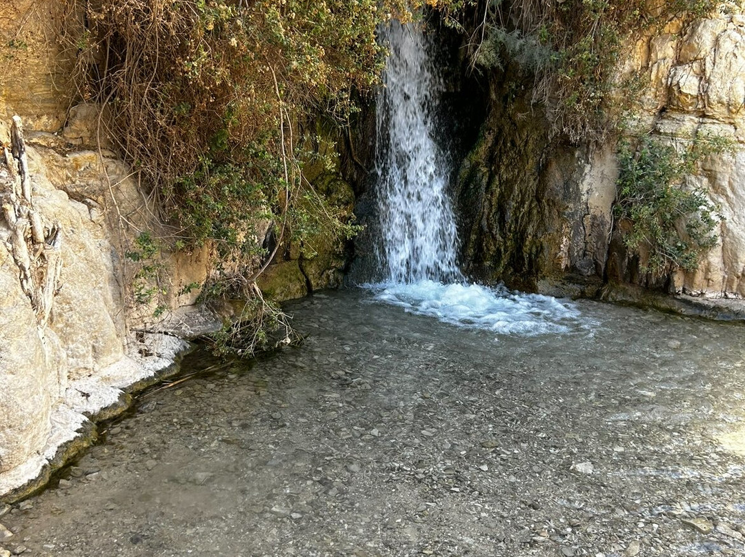 Yoni Tours-特拉维夫必去景点