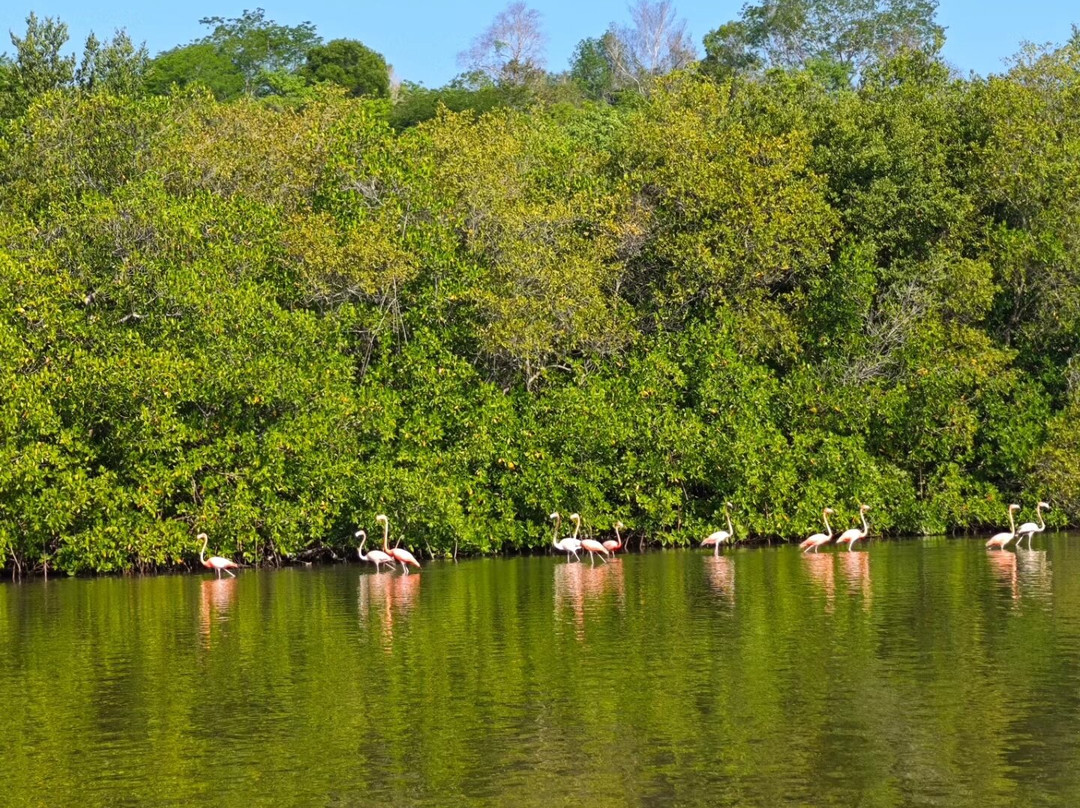 Guanaroca Lagoon景点图片