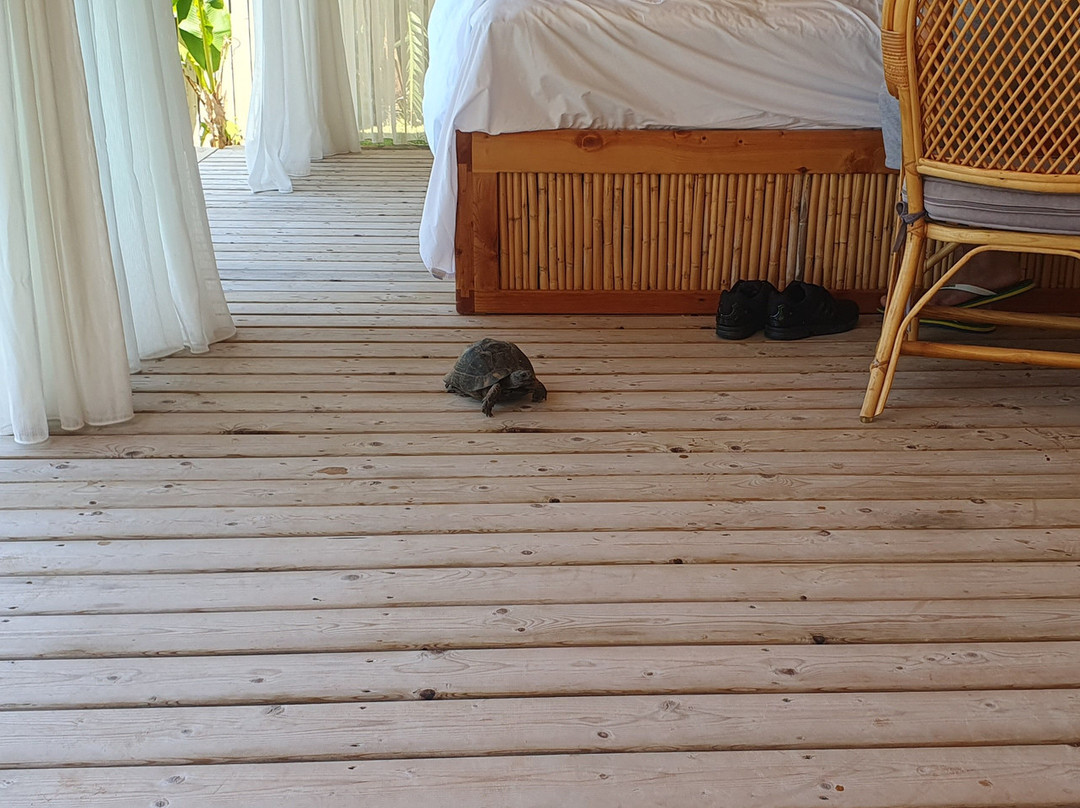 Seaview Faralya Butik Otel主图