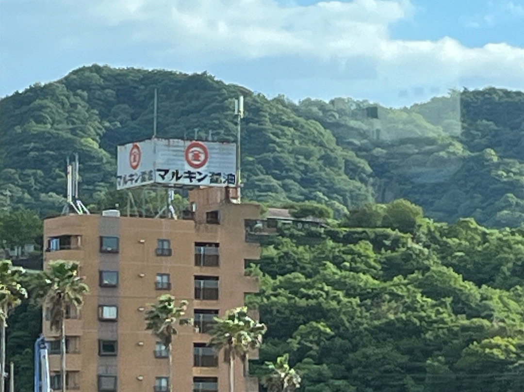 Shodoshima Ferry景点图片
