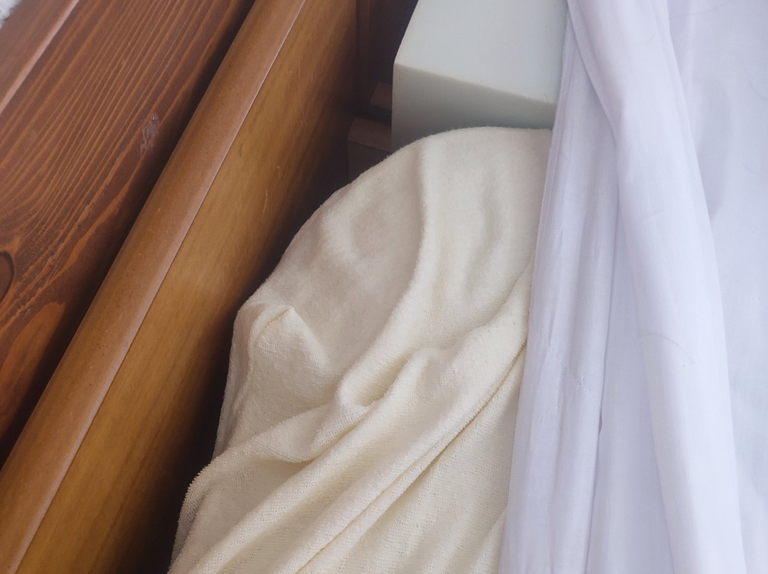 Sariza Spring Hotel主图