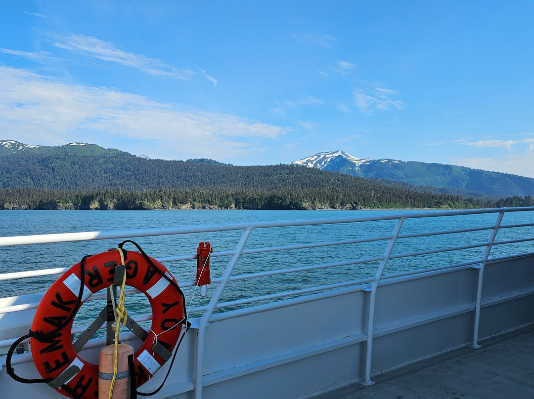 Seldovia Bay Ferry-荷马必去景点