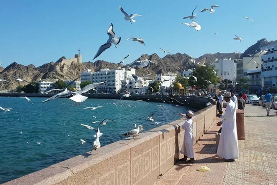 Falcon Tours - Oman-马斯喀特必去景点