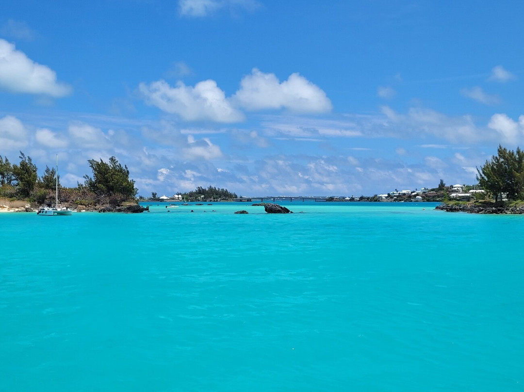 Sail Bermuda Private Charters-汉密尔顿必去景点