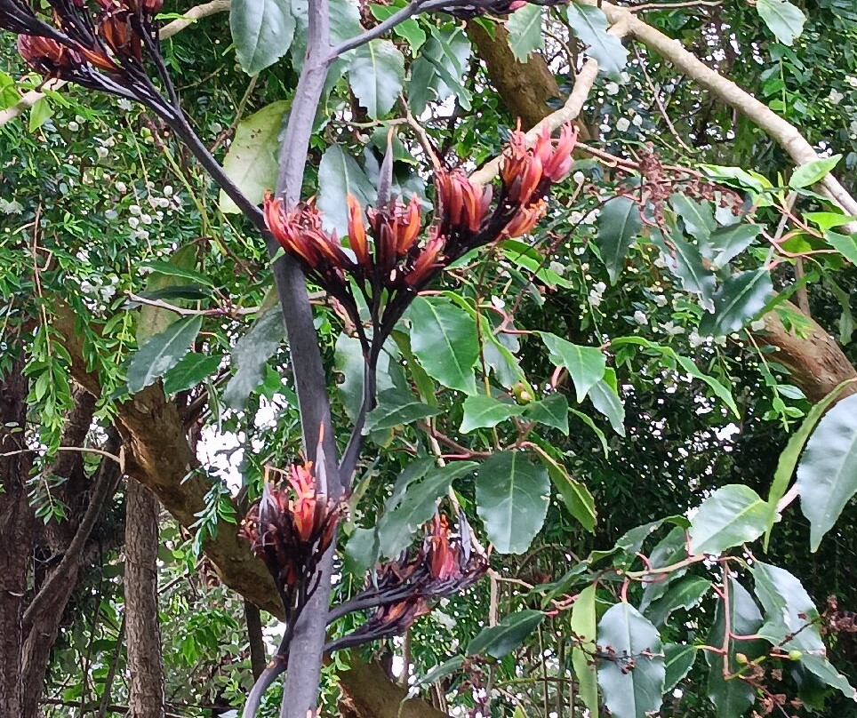 Le Jardin du Pellinec景点图片