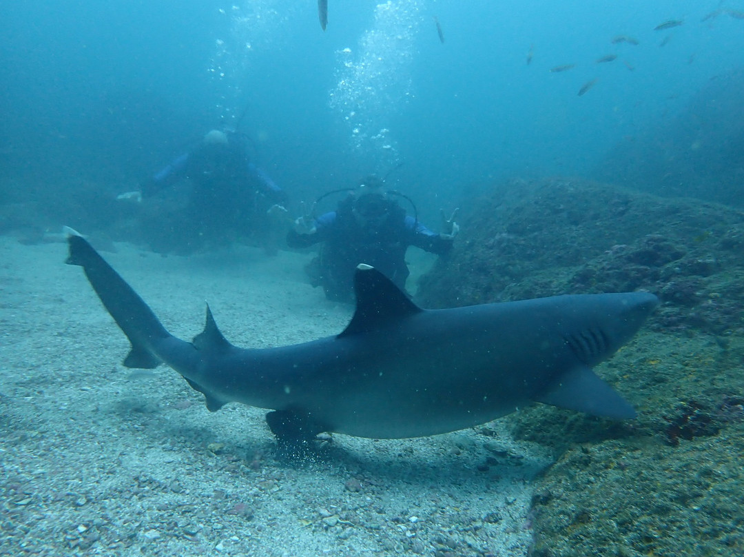 Pacific Coast Dive Center-Playa Flamingo必去景点