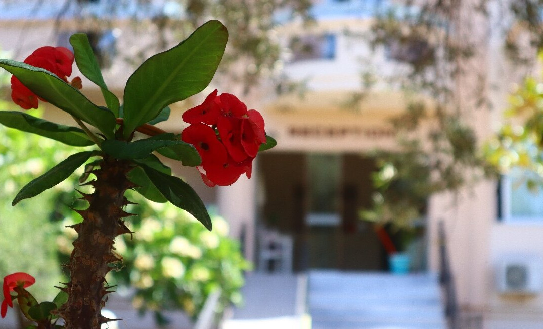 Kosmos A.G.K Studios-Apts主图