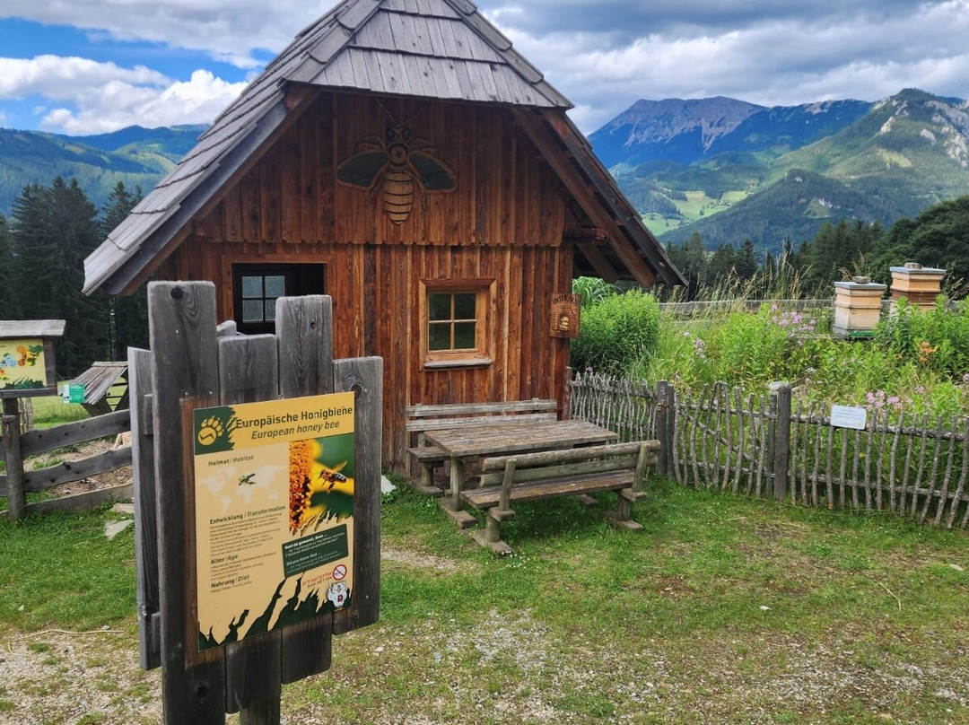 Der wilde Berg-Mautern in Steiermark必去景点