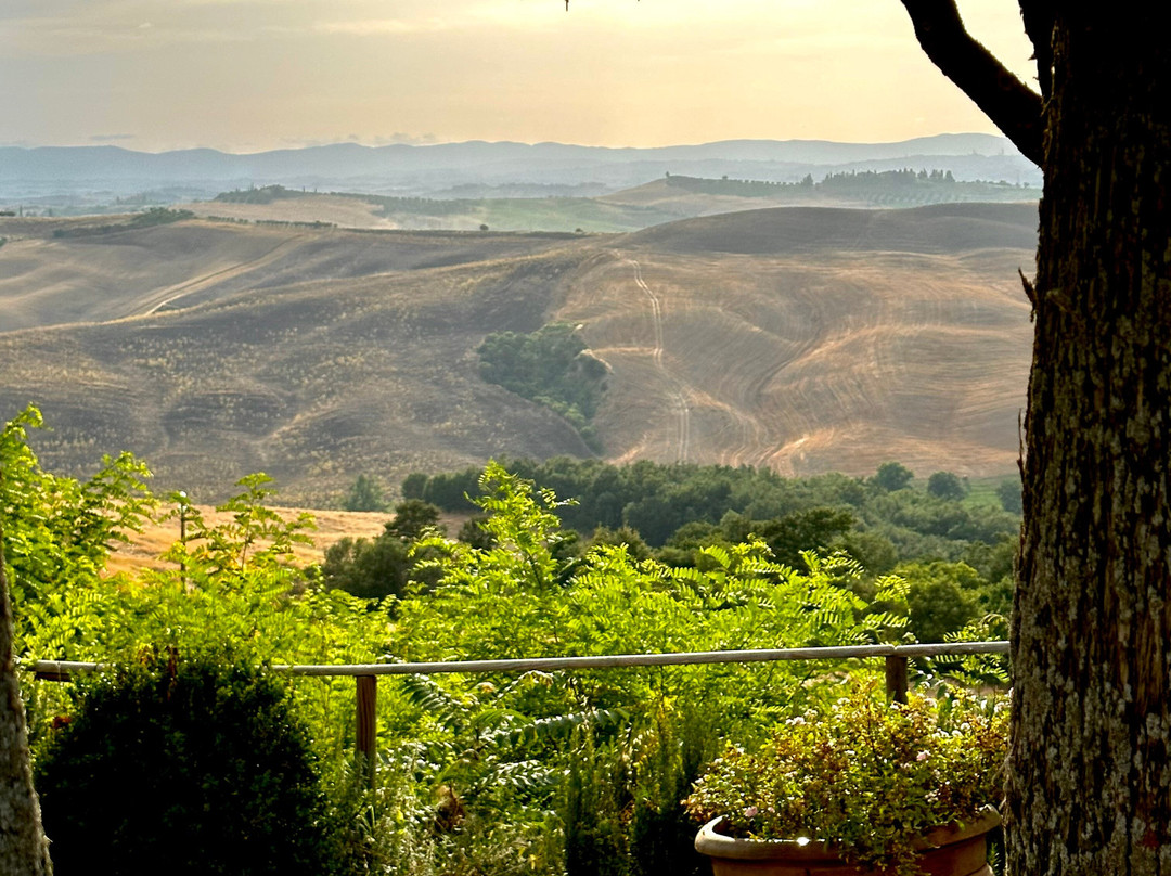 Siena Bike Shop-锡耶纳必去景点