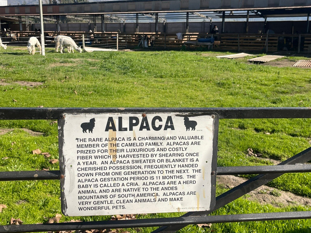 Quintessence Alpacas-Llaillay必去景点